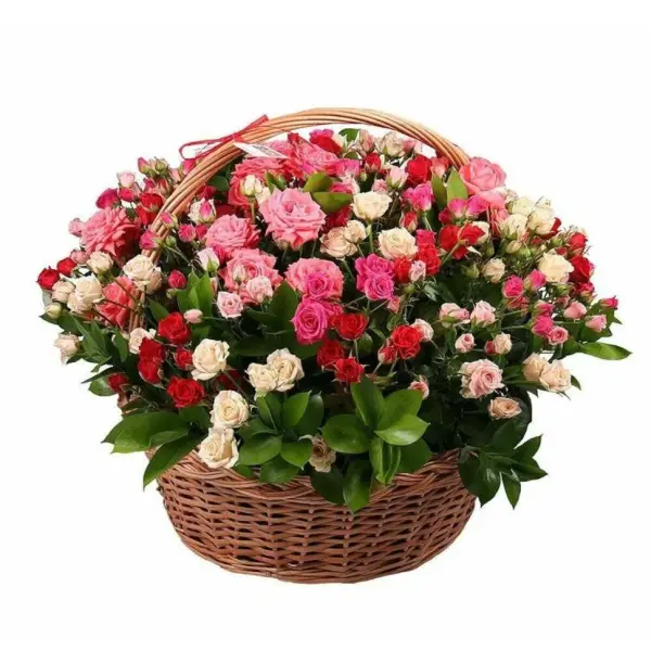 Корзина ярких мыслей