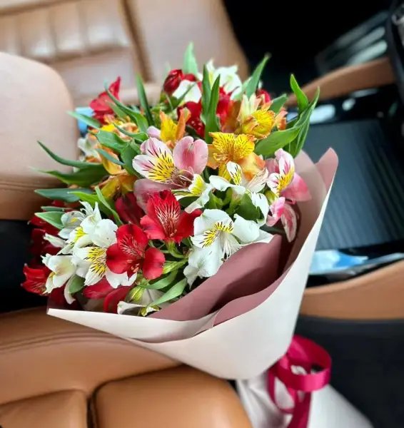 Солнечные чувства